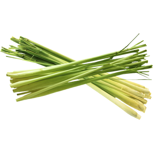 Citronella Cuts Off the Hunt